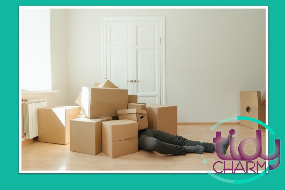 WhatsApp Image 2022-03-13 at 10.12.01 PM (1)